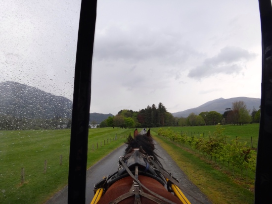 View of the landscape, from the inside of a house drawn carriage, that surrounds The Muckross House.